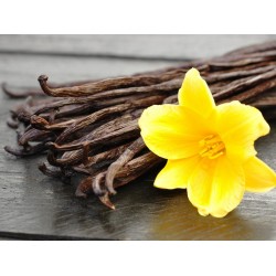 Отдушка для свечей "Ваниль", 100 г, Латвия. 