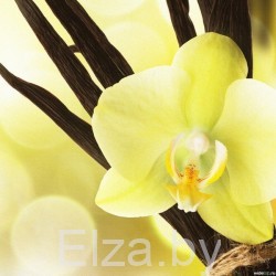 Отдушка для свечей "Ваниль", 10 г, Латвия